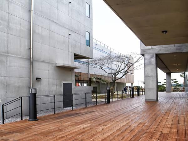 Jaynchloe Hotel Seogwipo Exterior photo