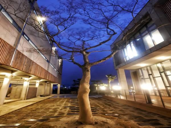 Jaynchloe Hotel Seogwipo Exterior photo